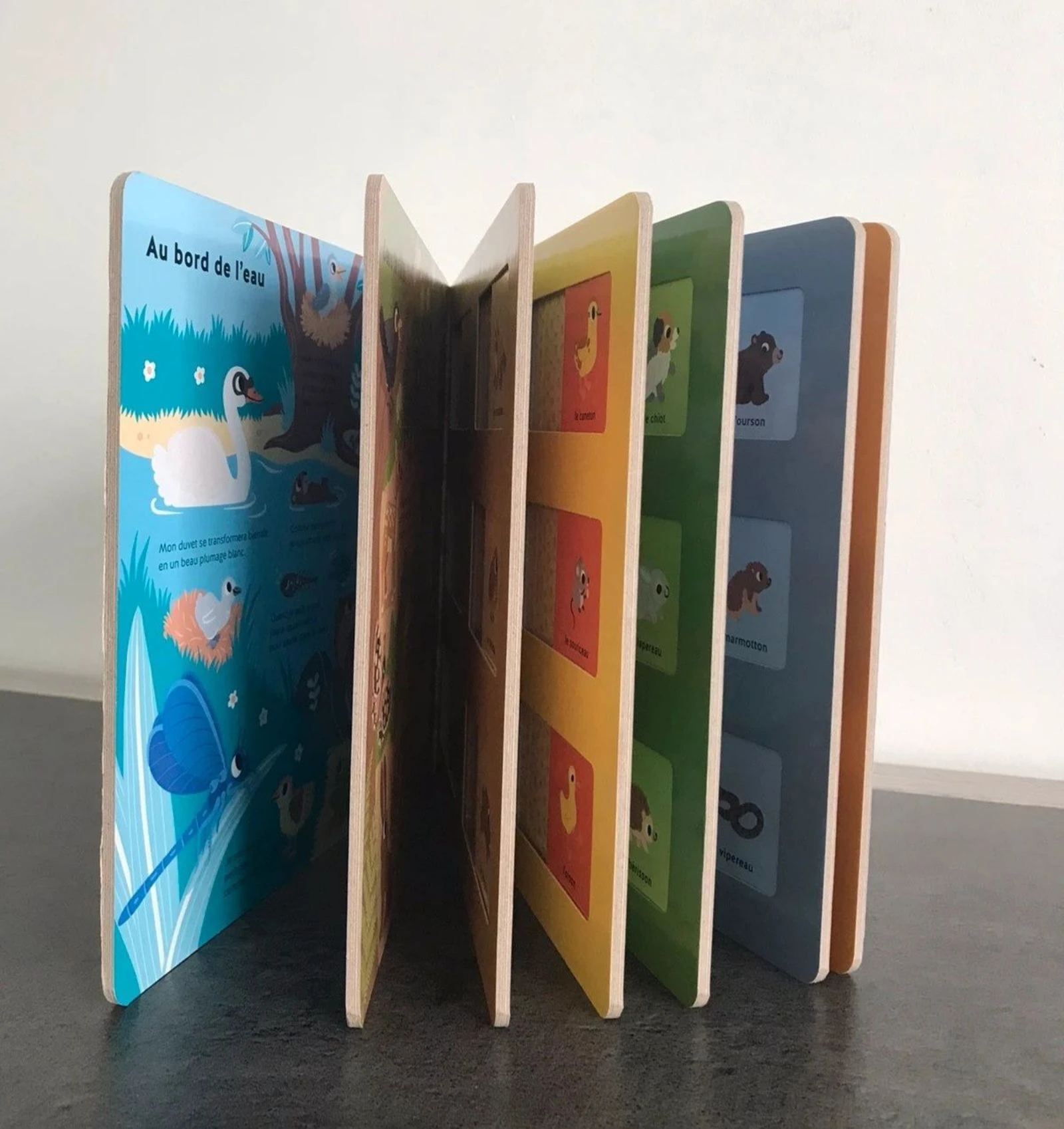 📚 Libro Éveil Neuf - ¿De quién es este bebé? (Ediciones Milan)📚 – photo 2